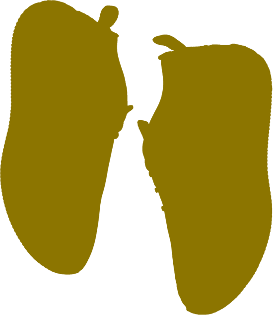 element2_shadow2.png