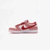Nike SB Dunk Low StrangeLove Kids